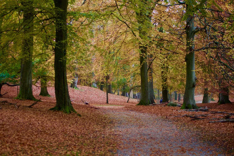 Oktober udsalg